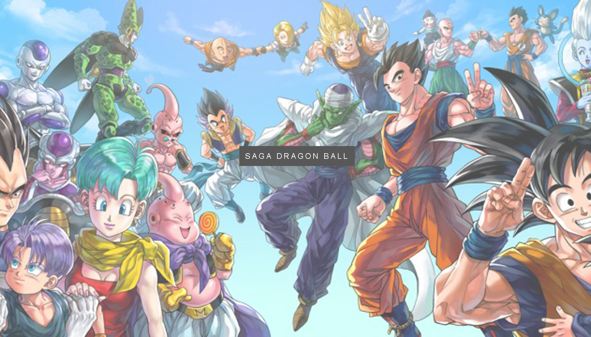 projeto Dragon Ball