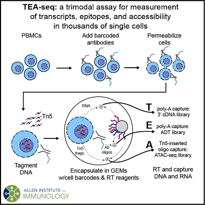 TEA-seq overview