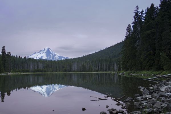 Resize to 600px