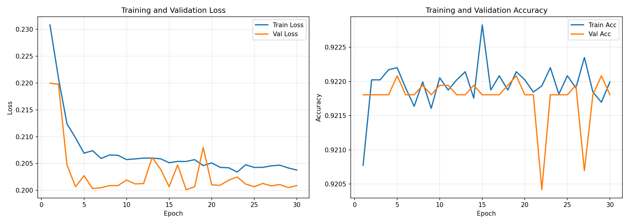 Training Curves