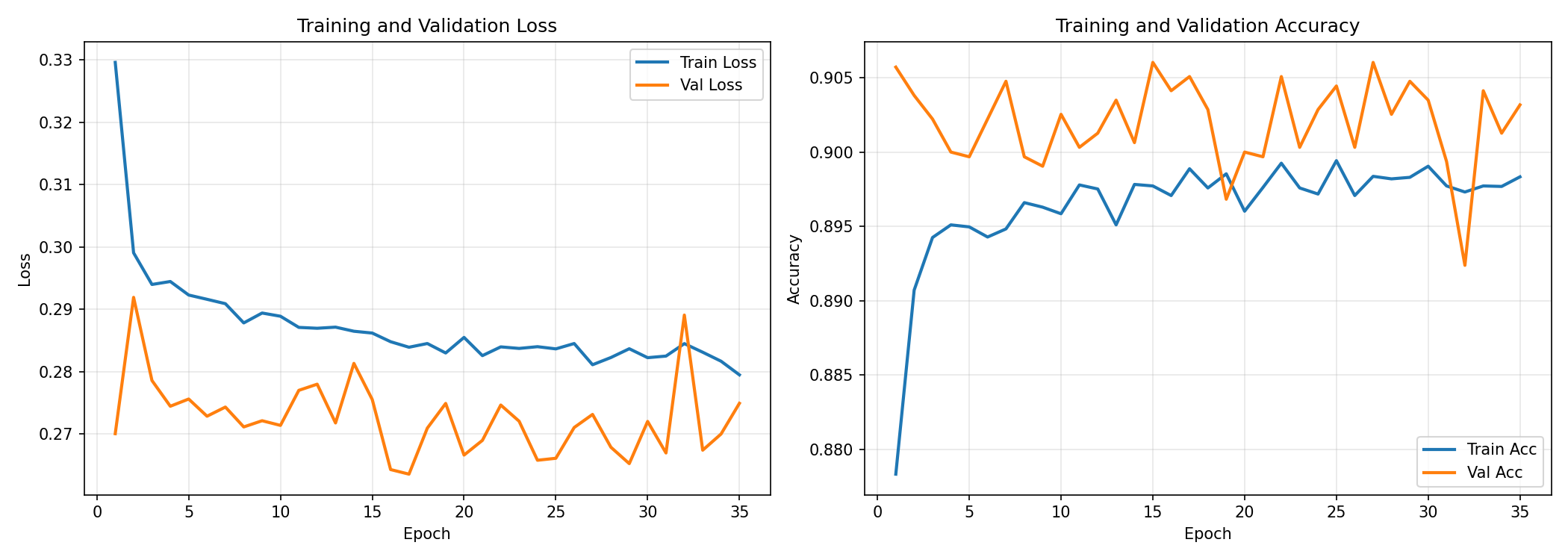Training Curves