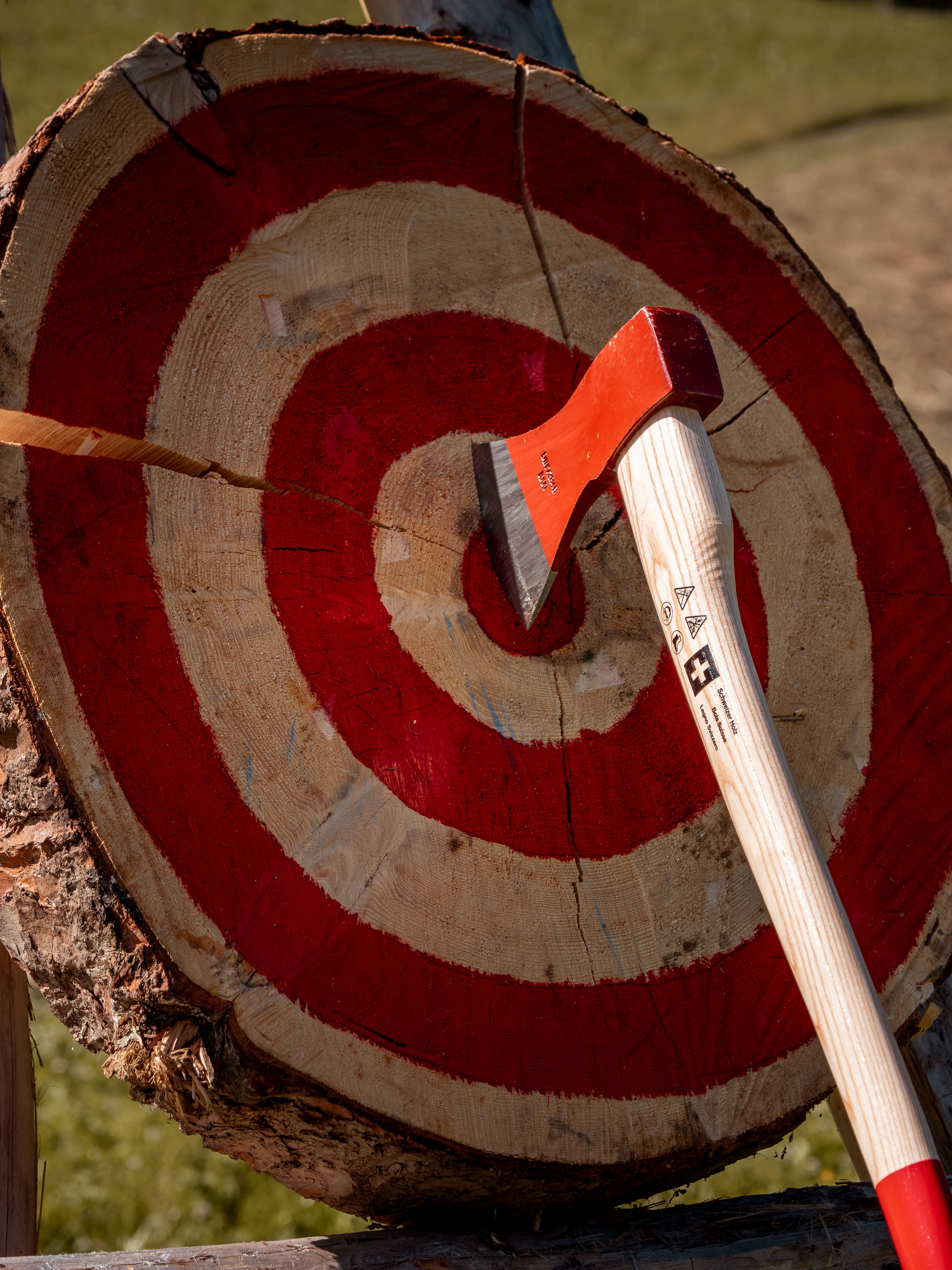 Archery, Air Rifle & Axe Throwing — featured photograph