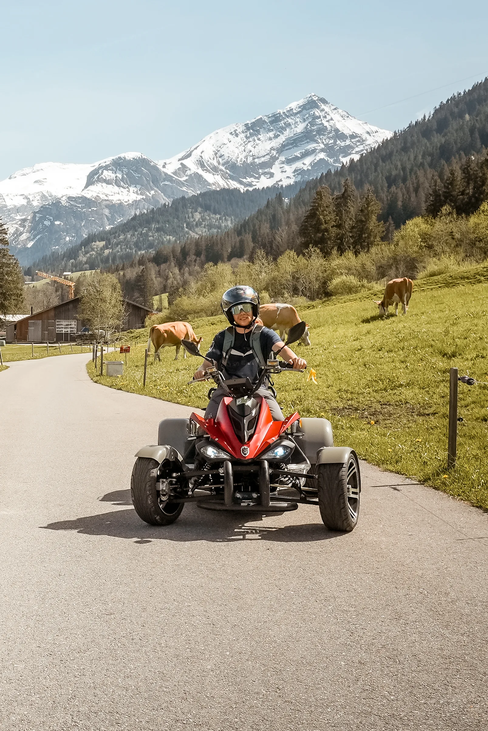 E-ATV & Quad Tours — photograph 1