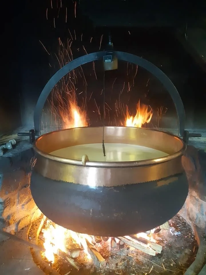 Cheese Making & Farm Visit — photograph 10