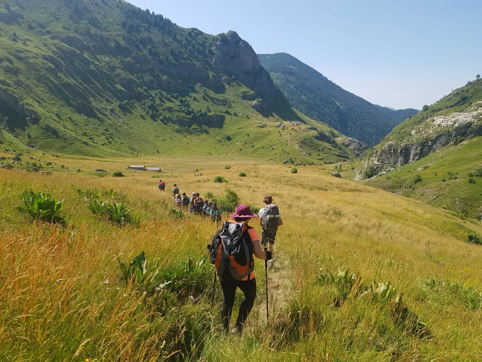 Guided Hikes — photograph 1