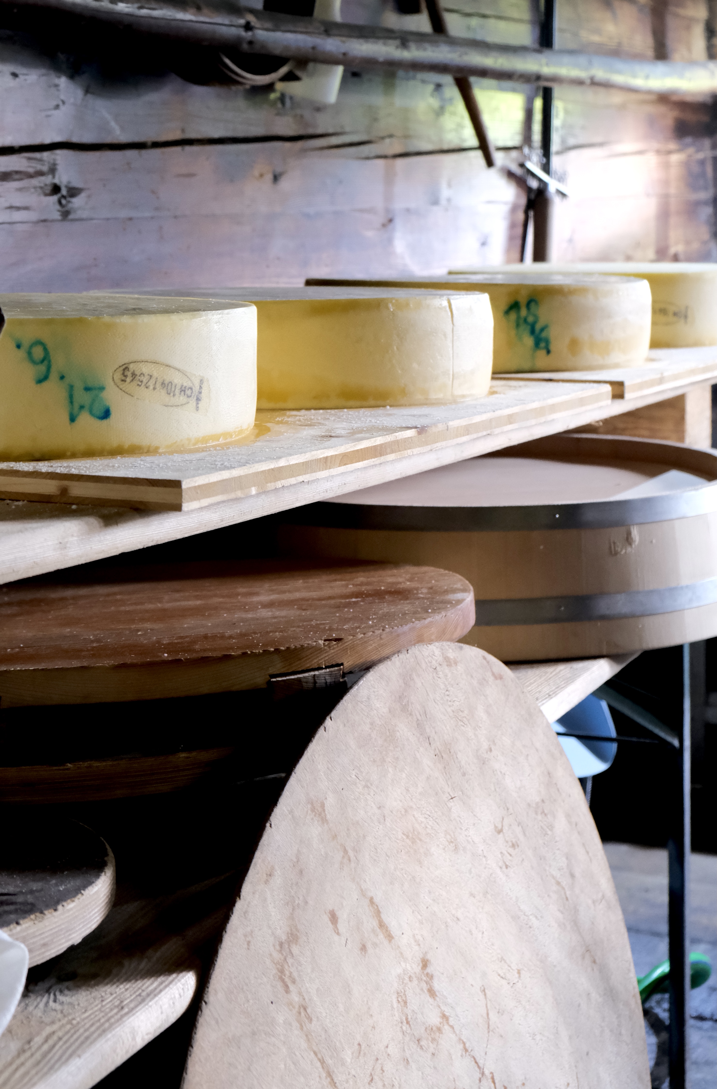 Cheese Making & Farm Visit — photograph 5