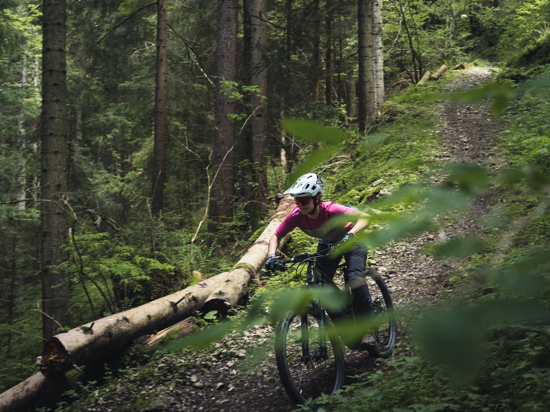 Mountain Biking & E-Biking — photograph 4