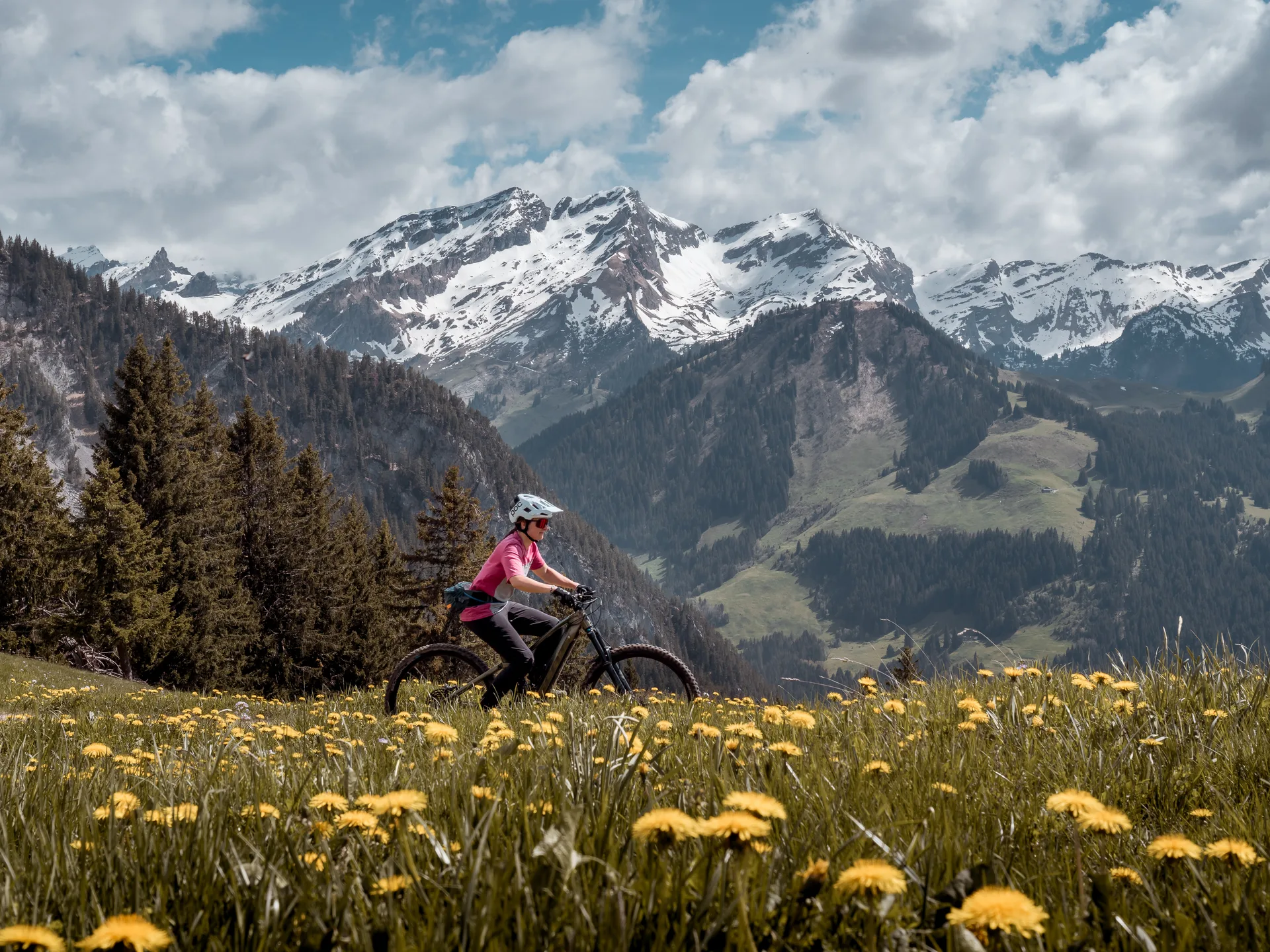 Mountain Biking & E-Biking — photograph 6