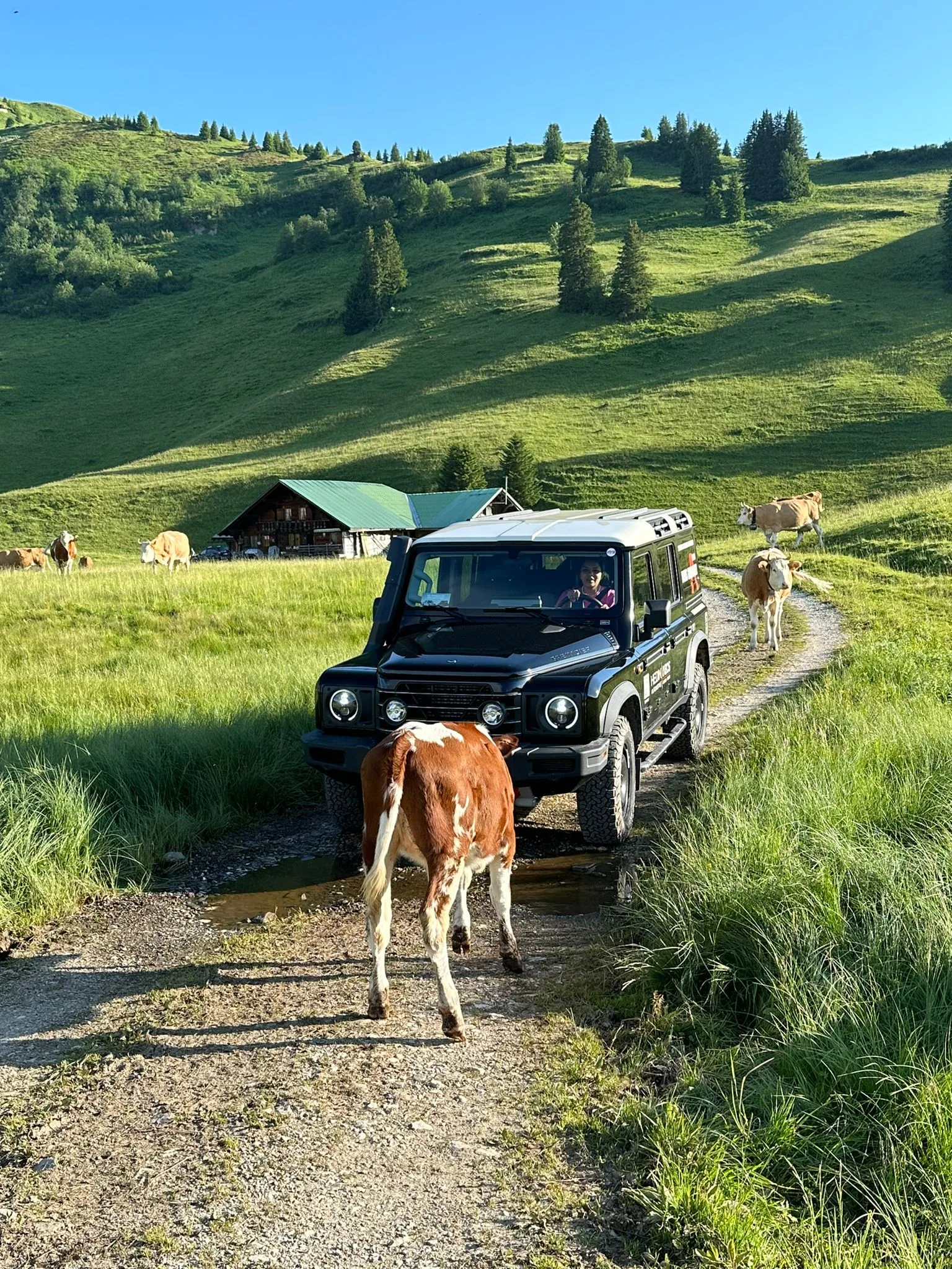 On-Road Jeep Panorama Tour — photograph 5