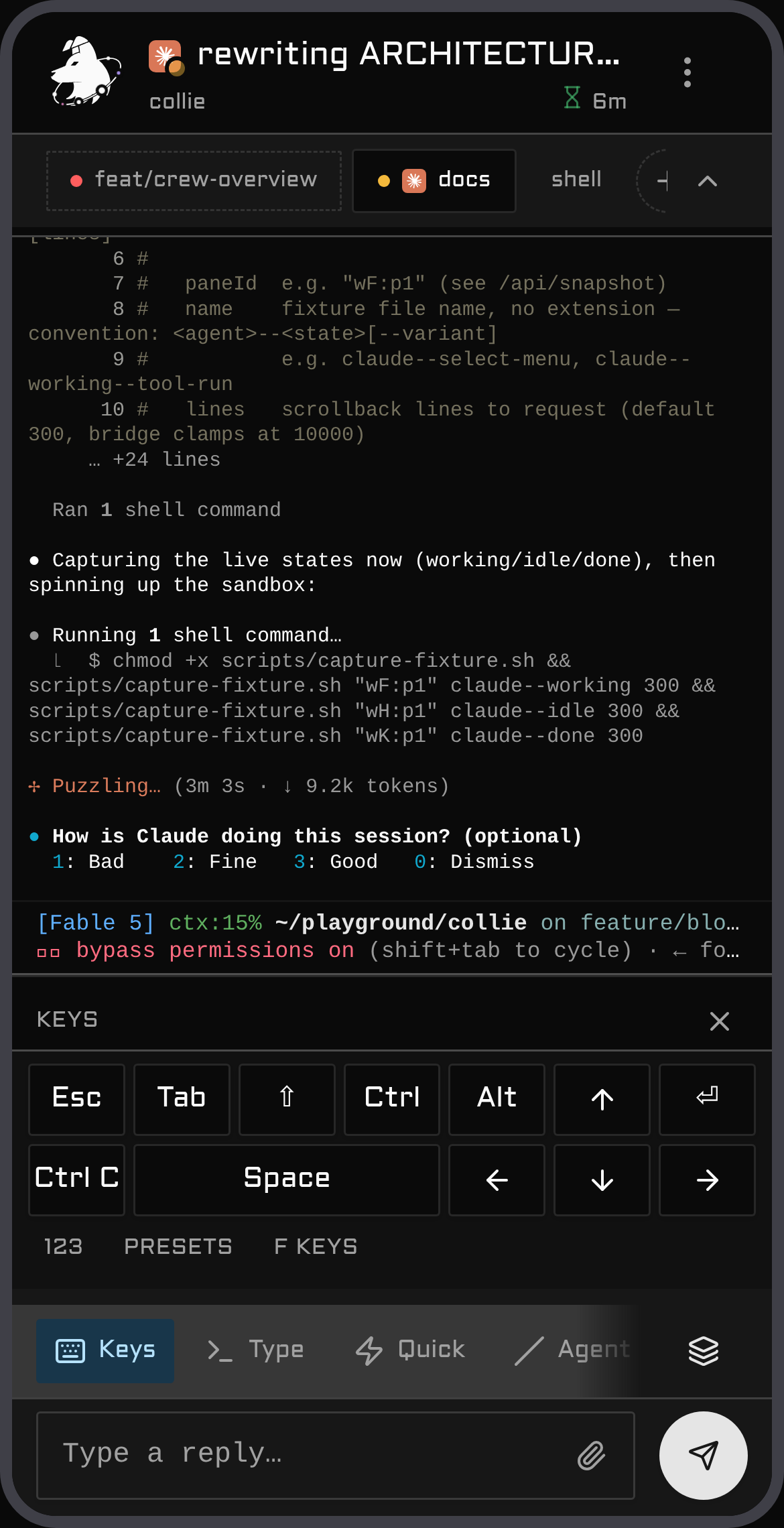 The special-keys pad — arrows, Esc, Tab, Ctrl, Alt, Shift