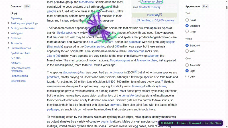 Spider