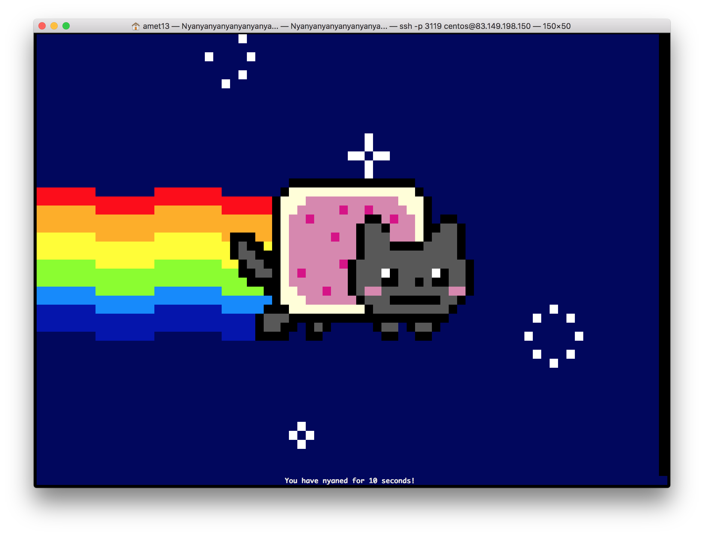 Nyan cat r34
