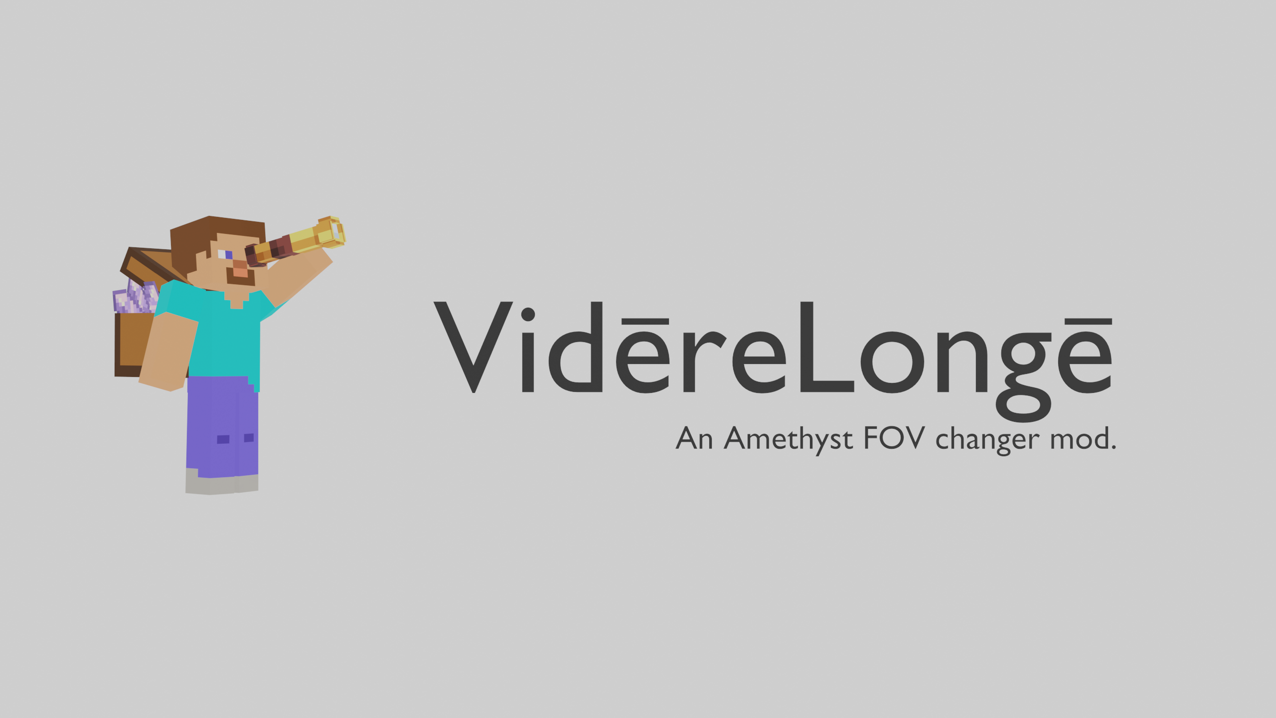 Vidēre Longē Banner