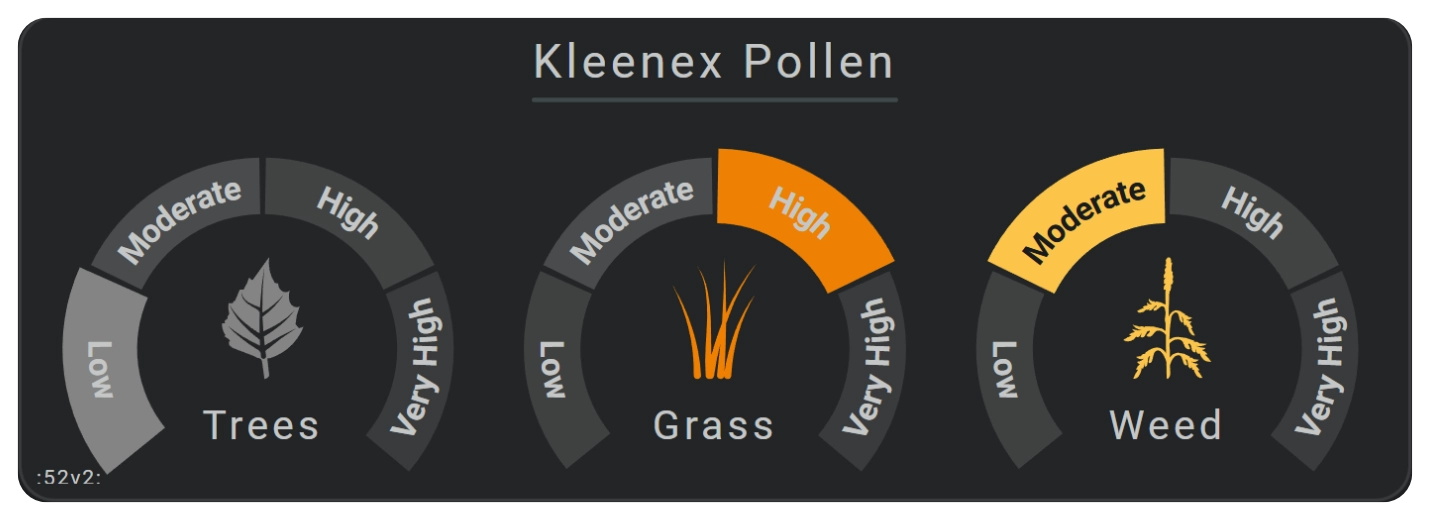 Flexible Horseshoe Card weather with Pollen Radar information