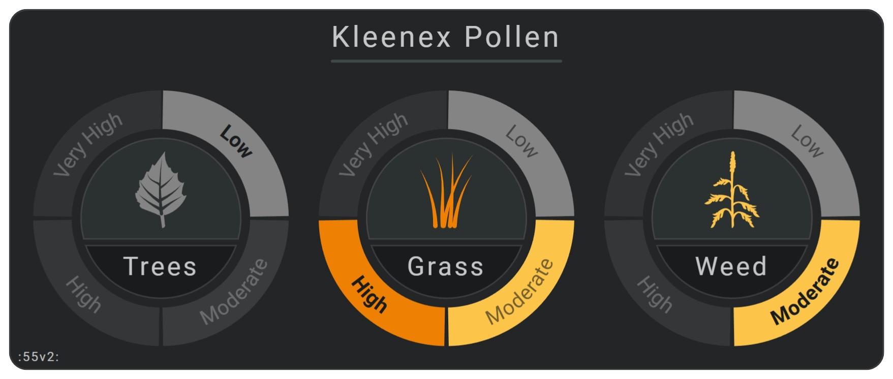 Flexible Horseshoe Card weather with Pollen Radar information