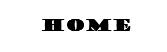 home button