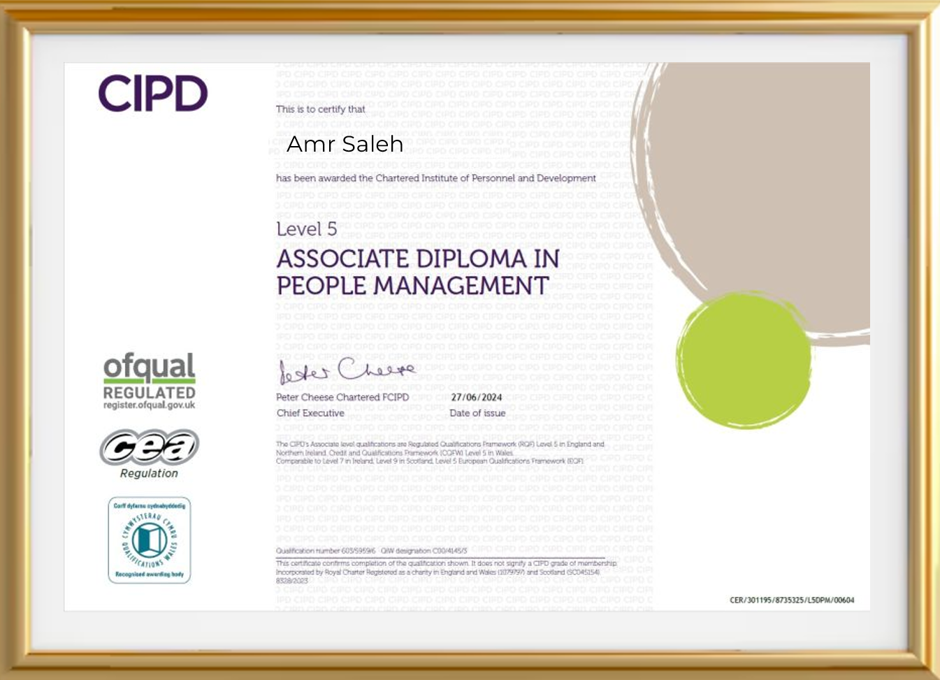 Certificate 6