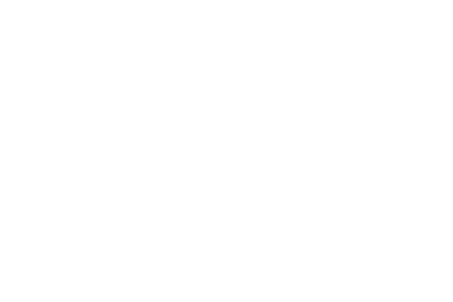 Amr Saleh signature