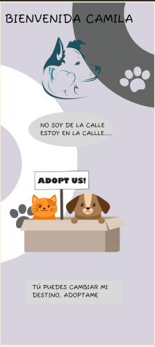 Cuidemos a los animalitos ♥