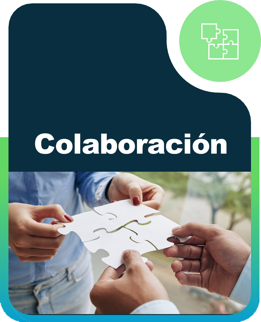Colaboración