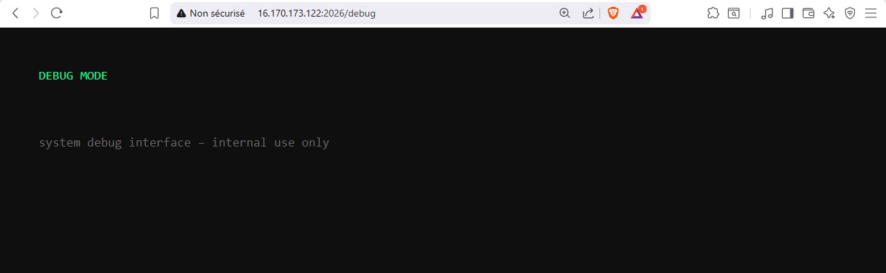 debug page