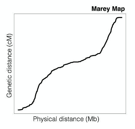 Marey Map