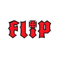 flip skateboard