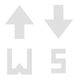 WebSocket's icon