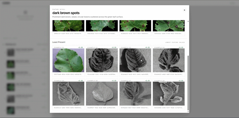 Feature inspection view in the SLIDERS interface