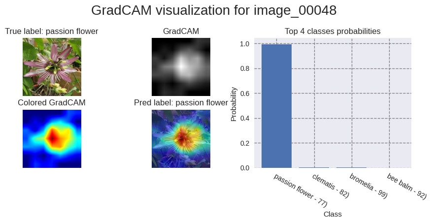 gradcam