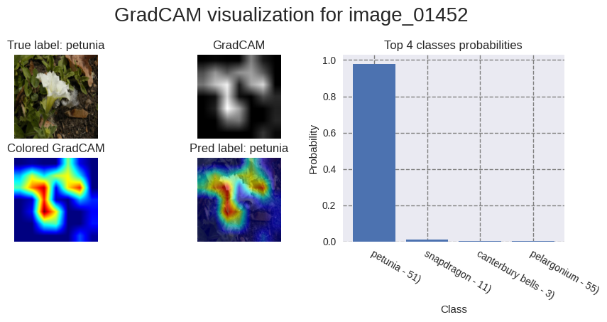 gradcam