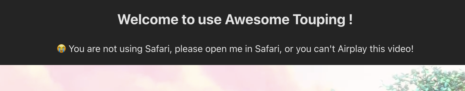 Safari-Warning