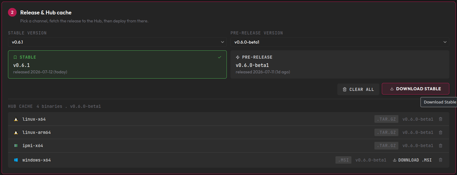 Release selection with stable and pre-release versions, download button, and the Hub cache listing