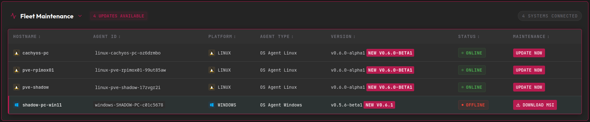Fleet maintenance table with version badges and update actions