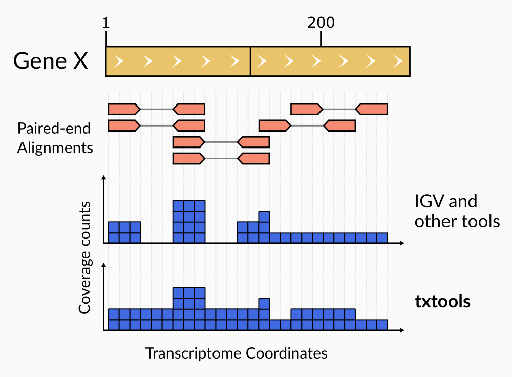 Figure 2. Paired-end reads coverage computation