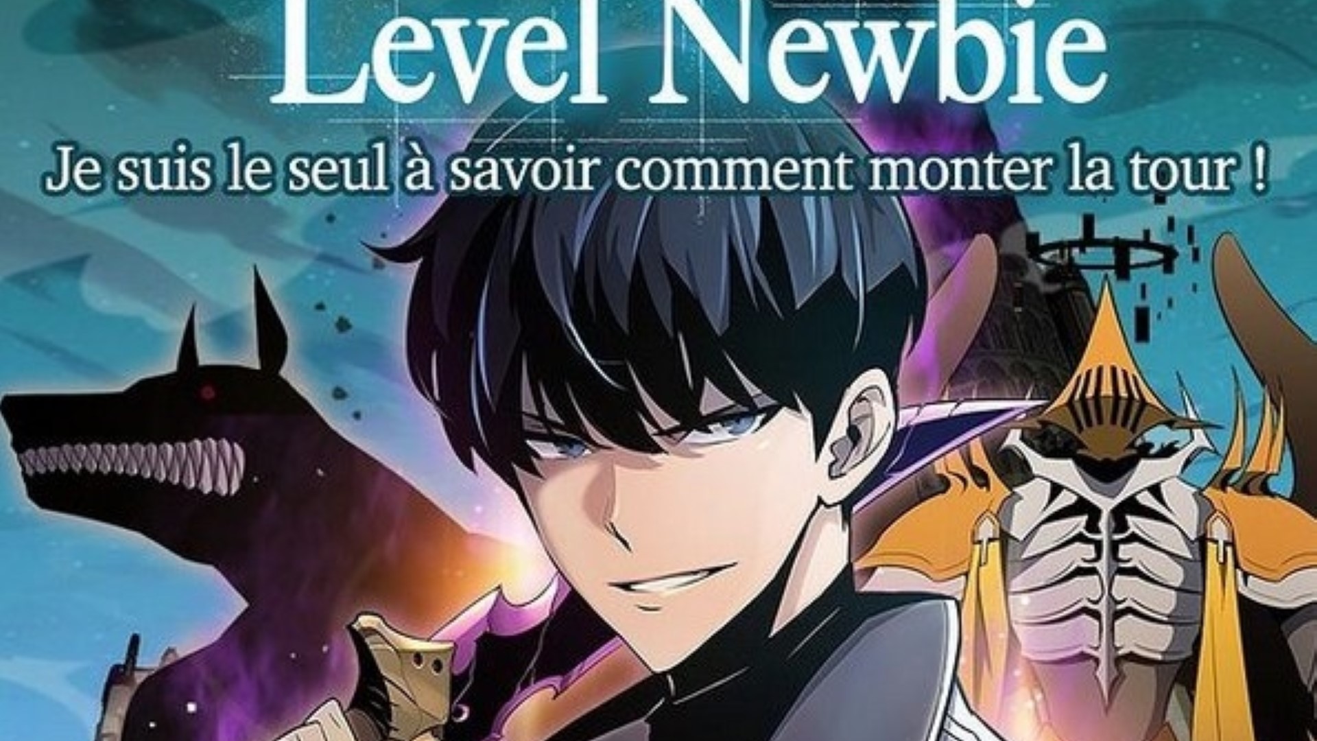 I'm the Max-Level Newbie