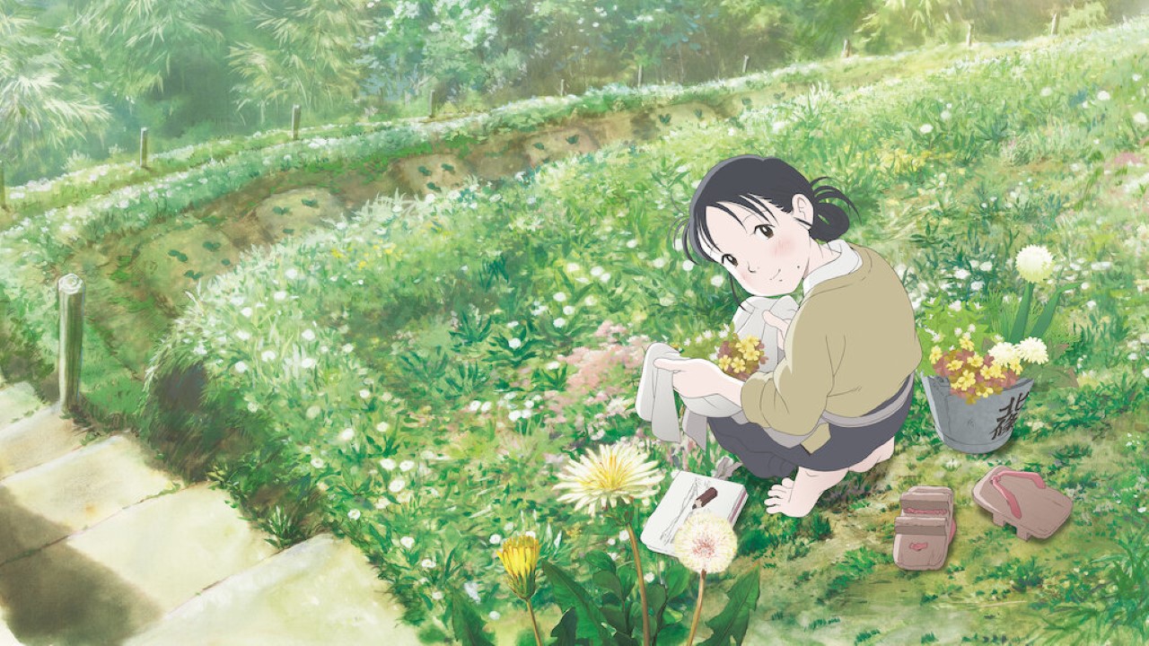 in this corner of the world