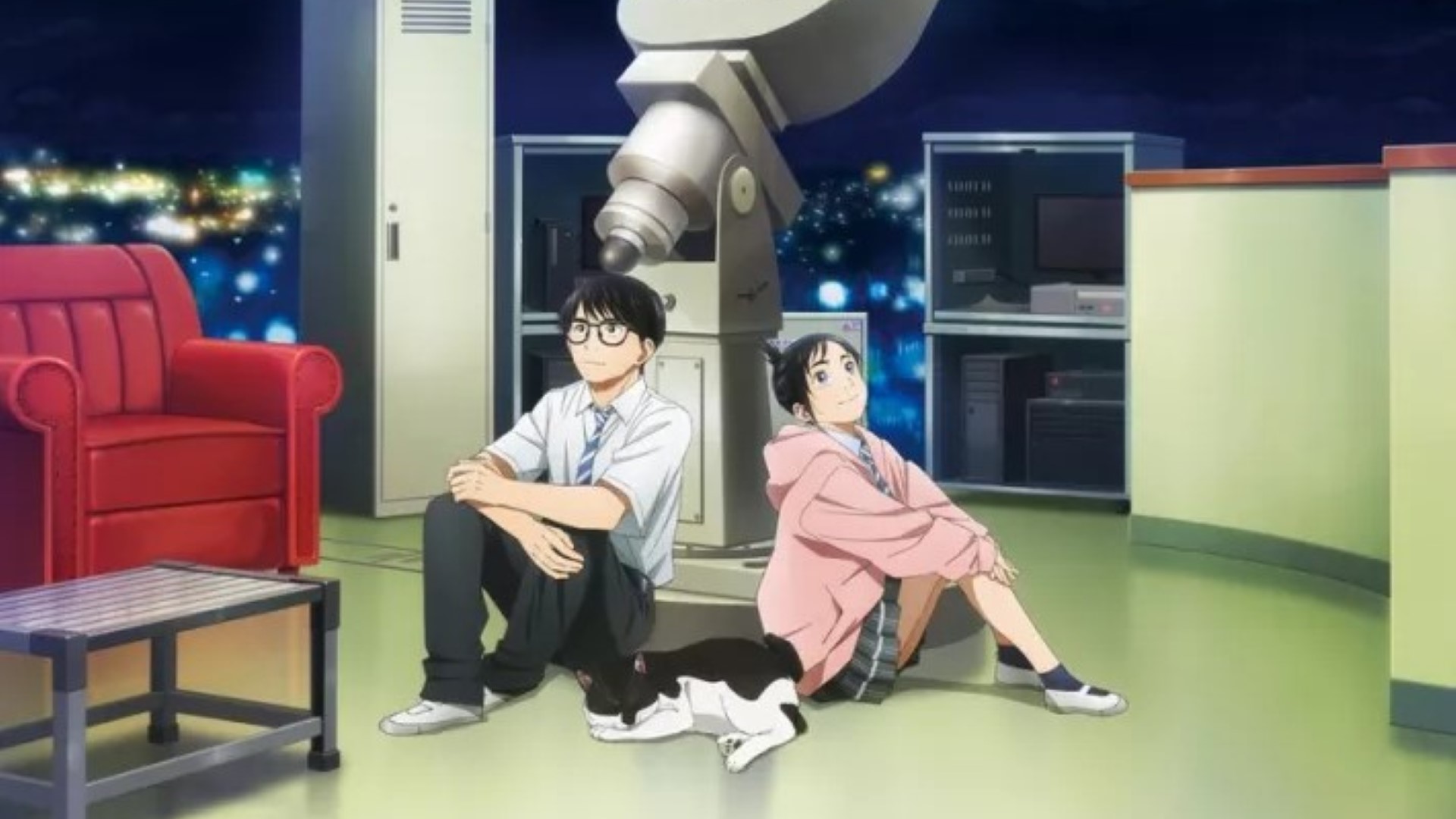 insomniacs after school