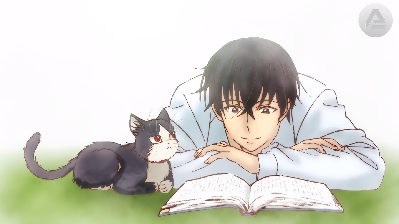 my roommate is a cat