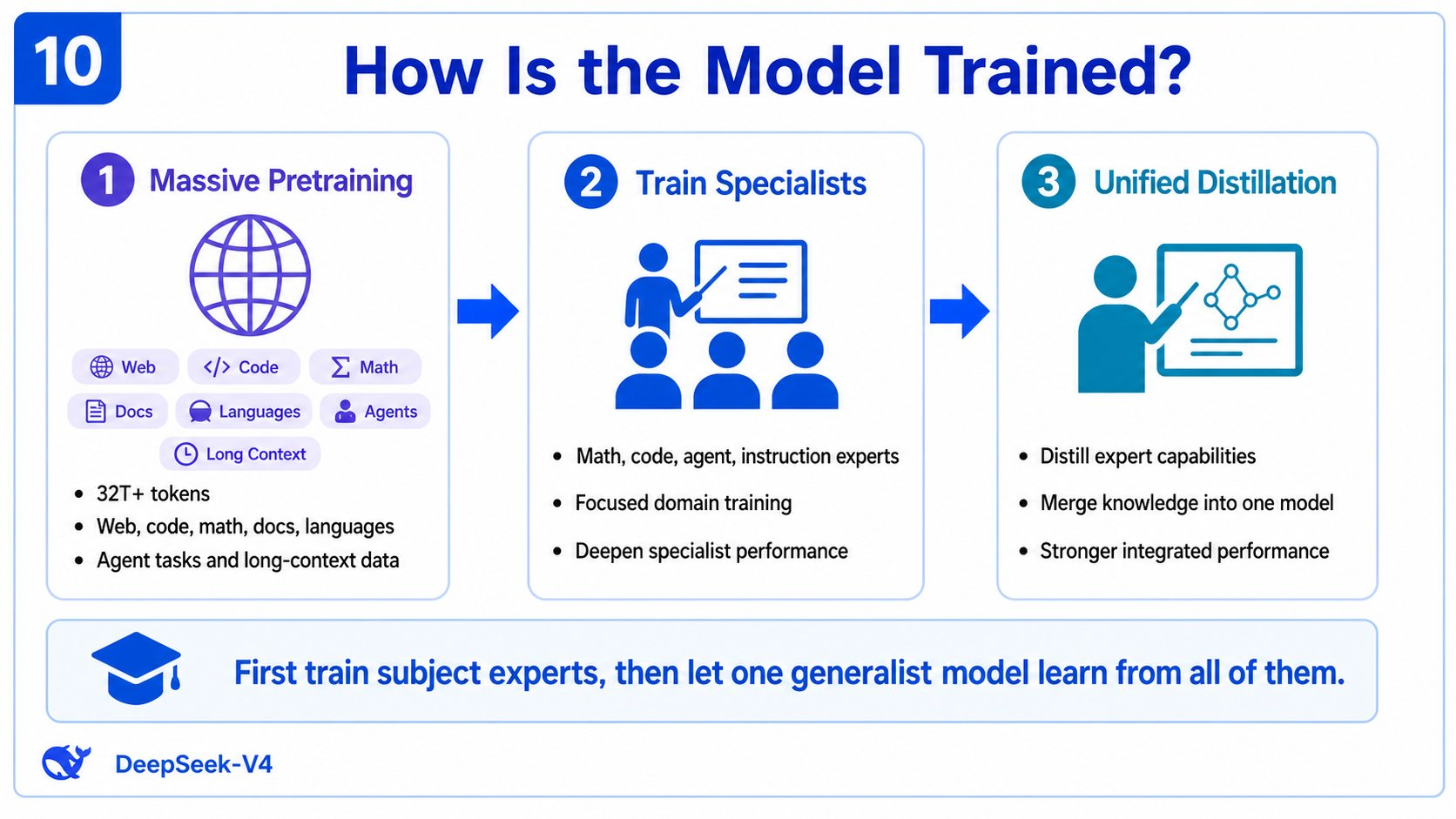Original infographic showing how the model is trained