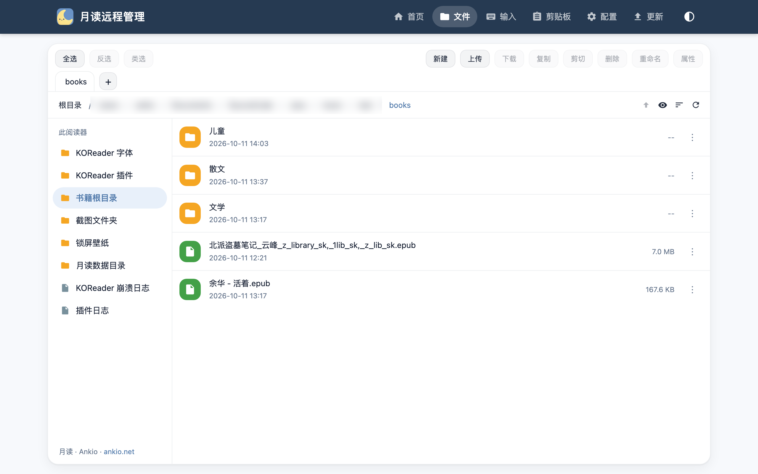 远程文件管理