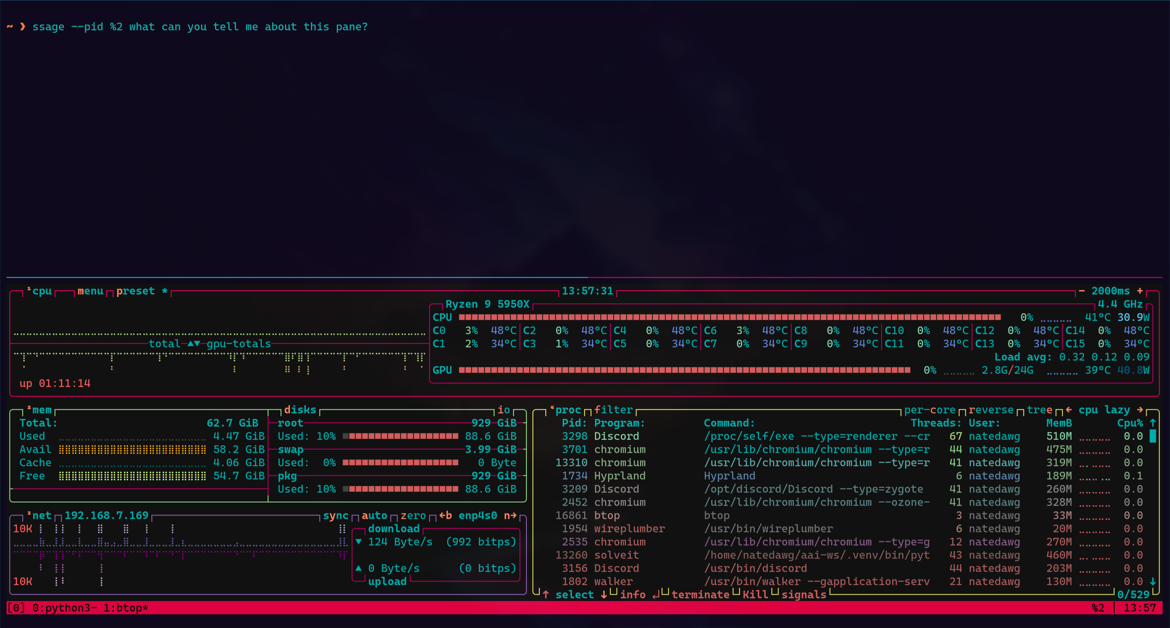 btop output