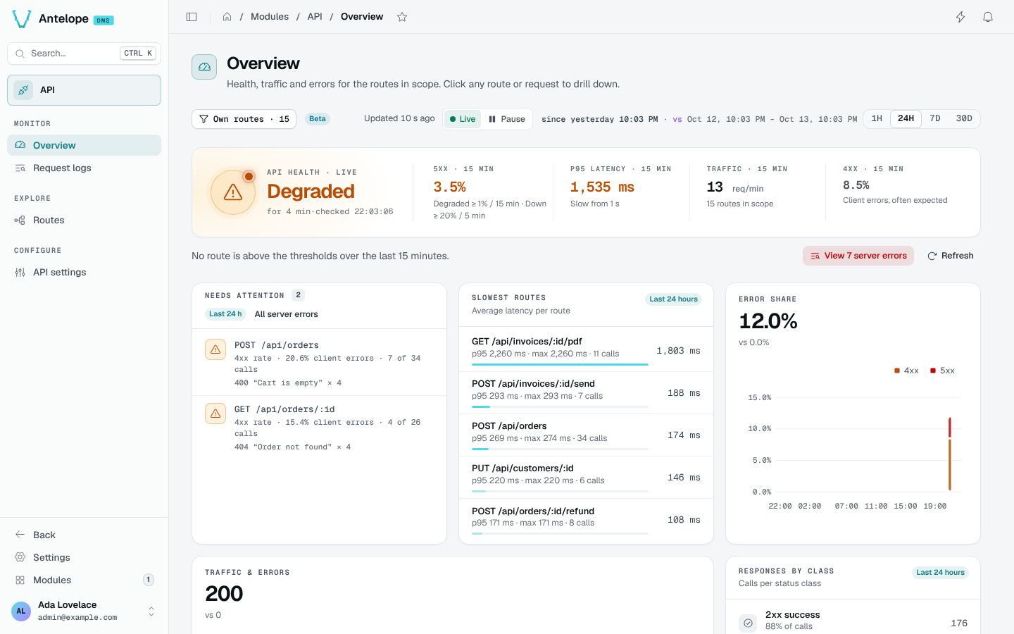 The API Overview: health verdict, routes needing attention, slowest routes and error share