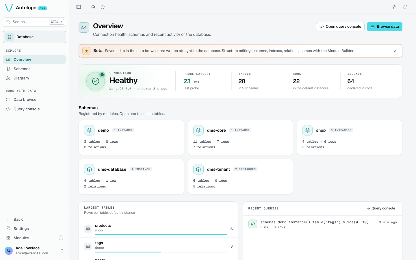The Database overview: connection health, one card per schema, largest tables and recent queries