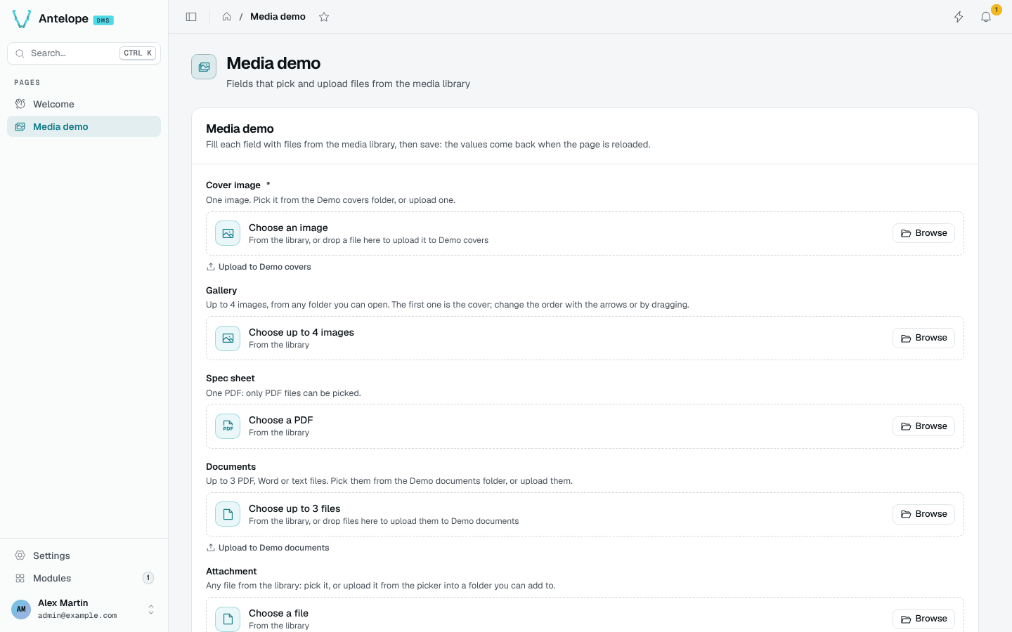 The Media demo page of the playground with five AssetType fields