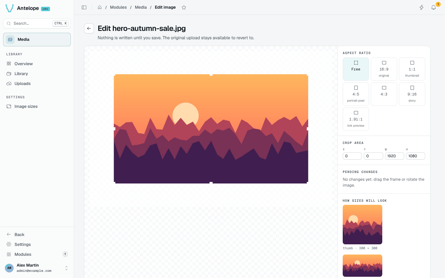 The image editor with its aspect ratio presets and the preview of each image size