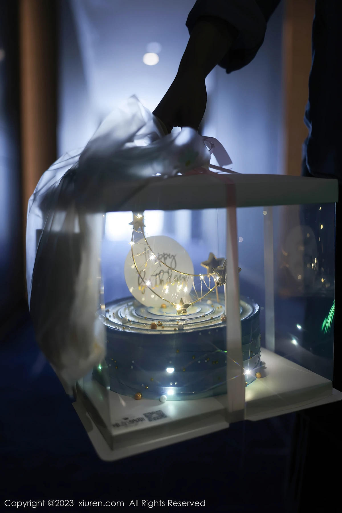 XiuRen No.7348 幼幼生日特辑 80P白纱蕾丝写真:解锁模特吸睛密码,让客户主动找你约拍! - 2