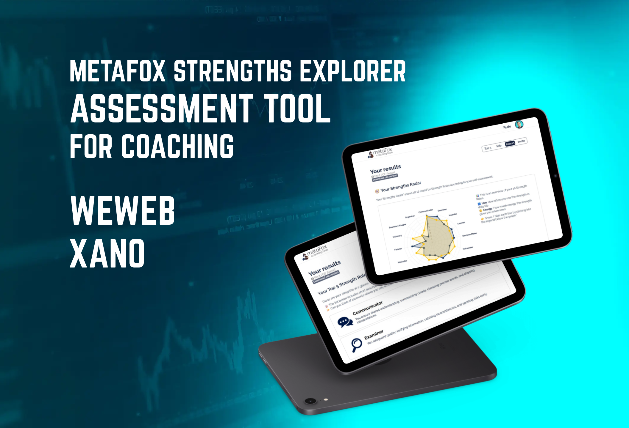 MetaFox Strengths Explorer