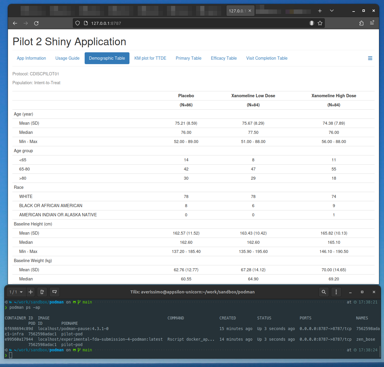 Screen shot of the teal application running in the container