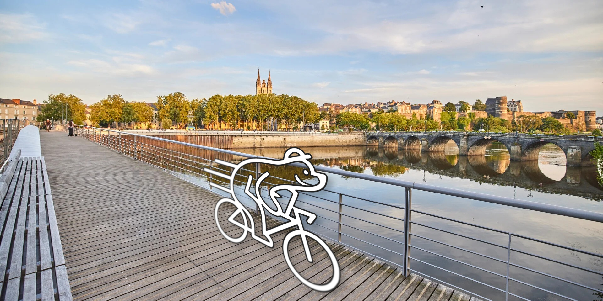 Ours à vélo à Angers